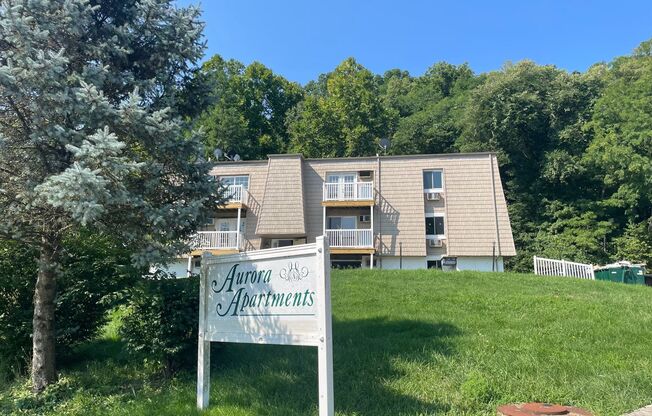 Newly Renovated Apartments