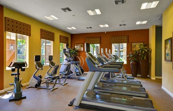 Fitness Center with Cardio Equipment And Free Weights, at Casoleil, San Diego, CA