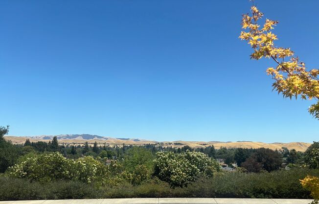Spacious 3 to 4 Bedroom, 4-Bath Home in Prime Westside San Ramon w/huge Solar Savings!