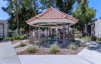 a garden in front of a house