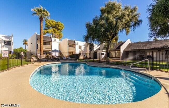 1 bed, 1 bath, $1,195, Unit MV C 8