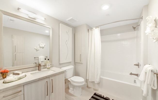 a bathroom with a shower toilet and sink and a mirror