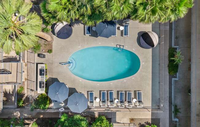 arial view of a swimming pool in a hotel with palm trees