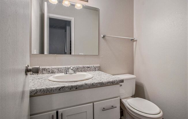 a bathroom with a sink and a toilet and a mirror
