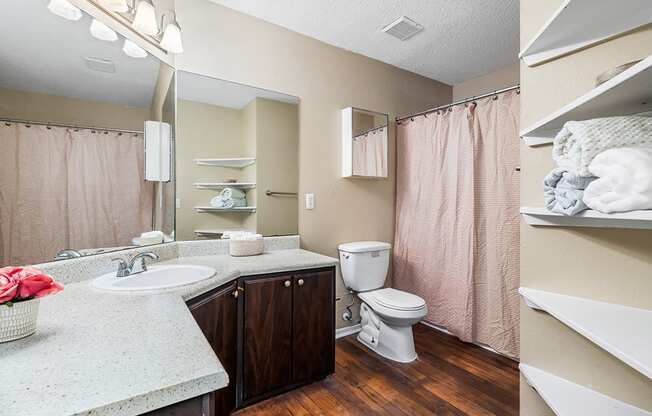 Large Bathroom With Wood-Style Flooring & Large Countertop