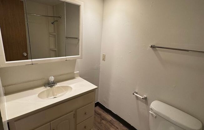 Studio, 1 bath, 425 sqft, $688, Unit 1018C