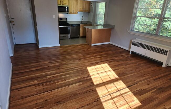 1 bed, 1 bath, 663 sqft, $2,050, Unit D-16