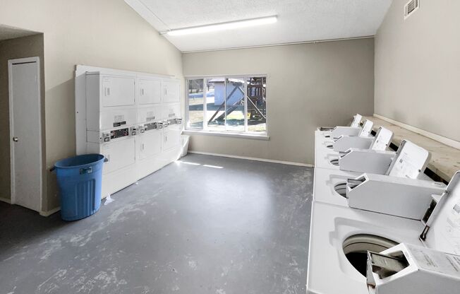 Winchester Estates Apartments - Where Comfort Meets Affordability
