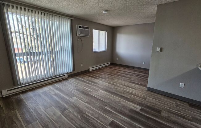 Studio, 1 bath, 480 sqft, $745, Unit 308