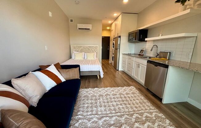 Studio, 1 bath, 325 sqft, $1,100, Unit 221
