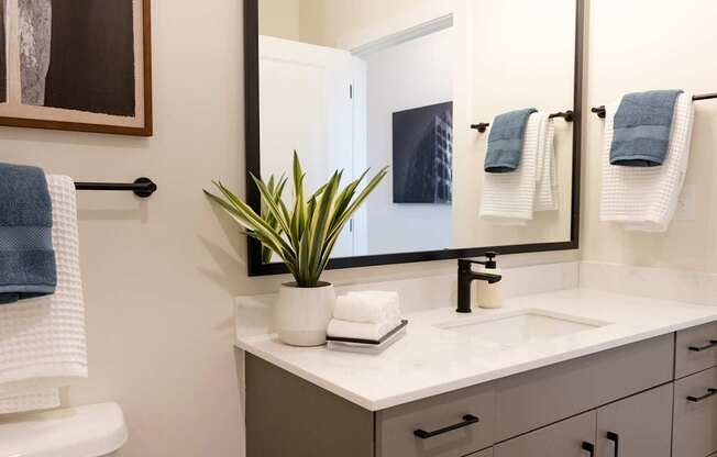 A bathroom with a white counter and a plant in a white vase.