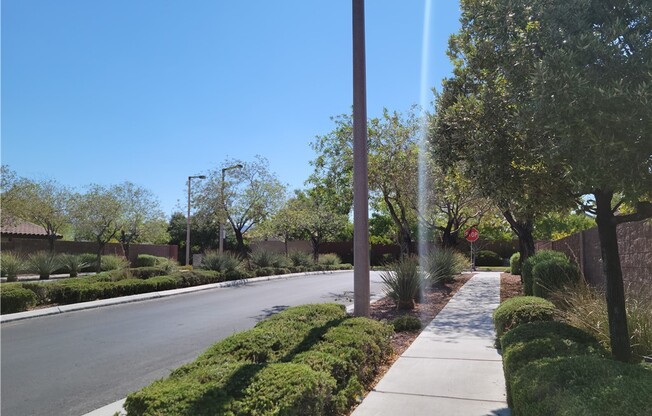 1965 Digger Pine Drive