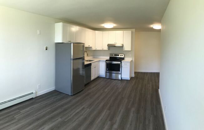 1 bed, 1 bath, 566 sqft, $1,938, Unit 104