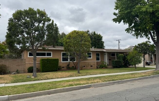 Newly Renovated 4 Bedroom 2 Bath home, with A/C and washer/dryer hook-ups