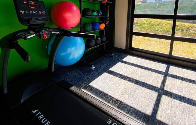 Treadmill and exercise balls