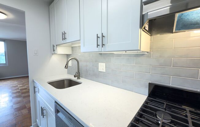 Sun filled top Floor Junior One Bedroom near Downtown Silver Spring