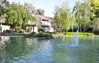 2 bedroom 1 bath Condo coming soon! 936 Kiely Blvd, Unit J, Santa Clara