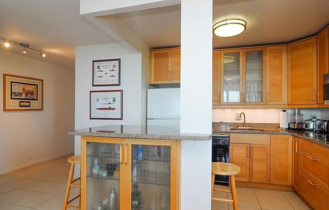 Spacious 1 bed lakeview end unit in Lincoln Park for rent