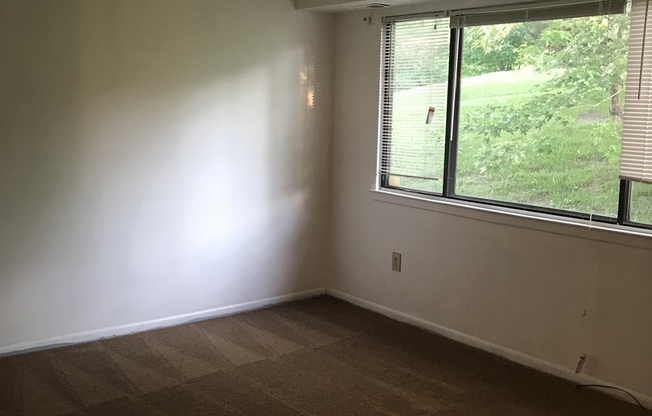 2 beds, 1 bath, $1,145