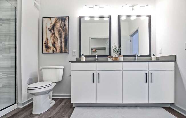 A white toilet sits in a bathroom with a large mirror above a white cabinet.