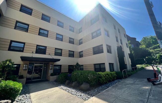 Studio, 1 bath, 411 sqft, $1,150, Unit 316