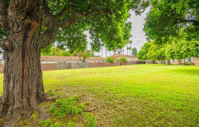 1 bed, 1 bath, 675 sqft, $2,025, Unit 009#C08