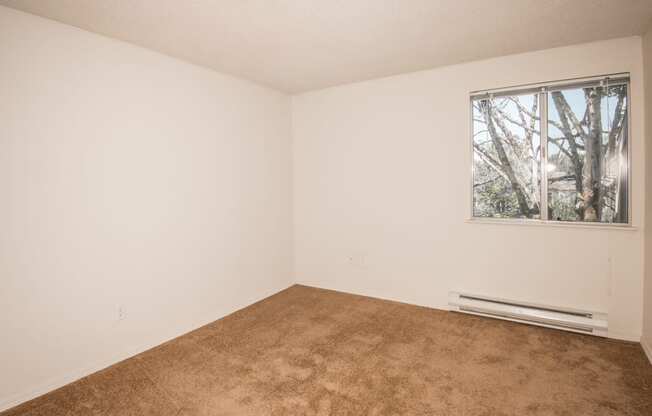 Todd Village large bedroom with a  window and a carpeted floor