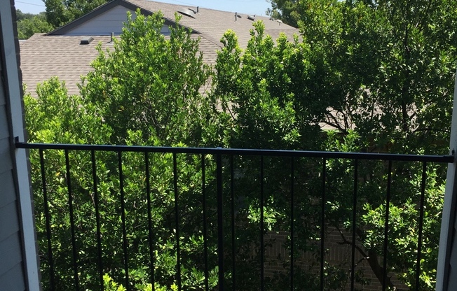 1 bed, 1 bath, $800