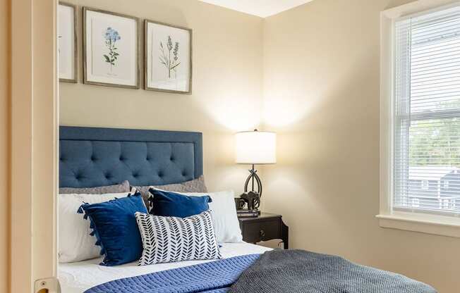 A bedroom with a bed covered in a blue blanket.