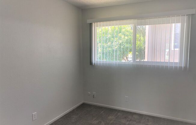 1 bed, 1 bath, 500 sqft, $1,050, Unit 1425 19