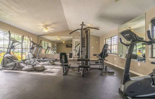 Fitness Center at Laurel Oaks Apartments in Tampa, FL