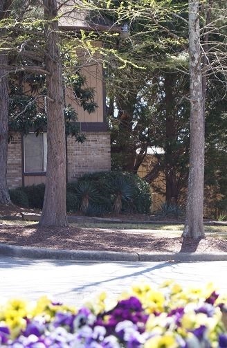 1 bed, 1 bath, 800 sqft, $610, Unit 25