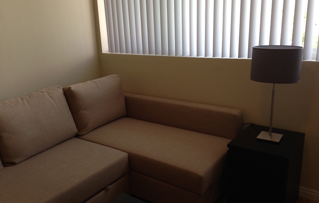 Studio, 1 bath, 250 sqft, $1,082, Unit 707