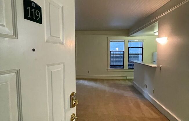 Studio, 1 bath, 464 sqft, $1,150, Unit 119