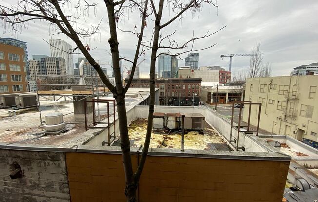 Studio, 1 bath, 325 sqft, $1,250, Unit 307