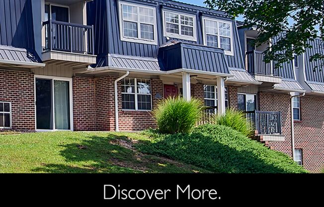 2 beds, 1 bath, 1,000 sqft, $1,250, Unit 11B