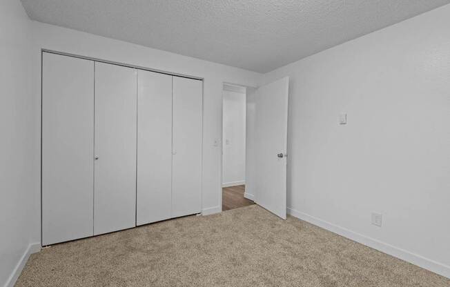 A room with white walls and a carpeted floor with three white doors.