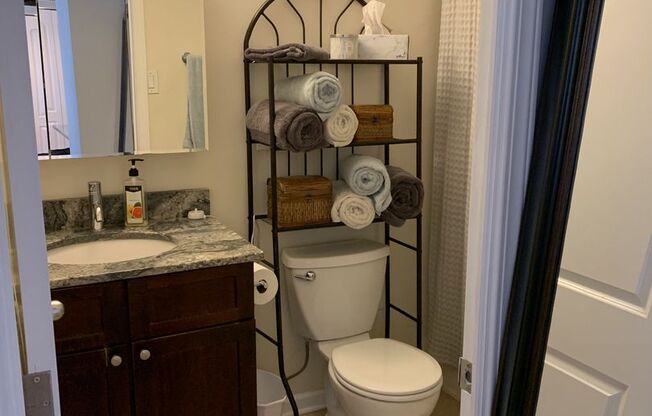 1 bed, 1 bath, 700 sqft, $1,775, Unit 418-0303
