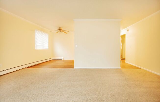 1 bed, 1 bath, 700 sqft, $1,320, Unit 840-101