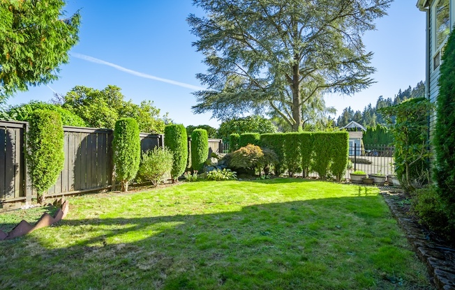 242 W LK SAMMAMISH PKWY SE