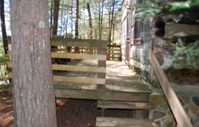 Cozy Cabin - 1 BR, 1 Ba