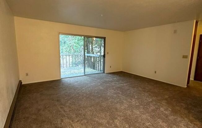 2 beds, 1 bath, $1,050