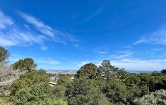 Available Apartment in San Bruno