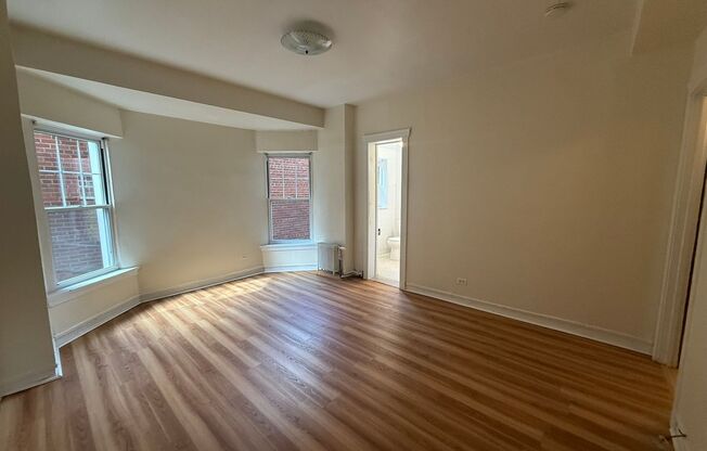 Studio, 1 bath, 295 sqft, $1,250, Unit Old King Edward 171