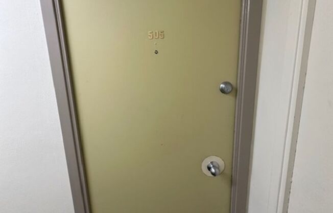 1 bed, 1 bath, 548 sqft, $1,347, Unit 505A