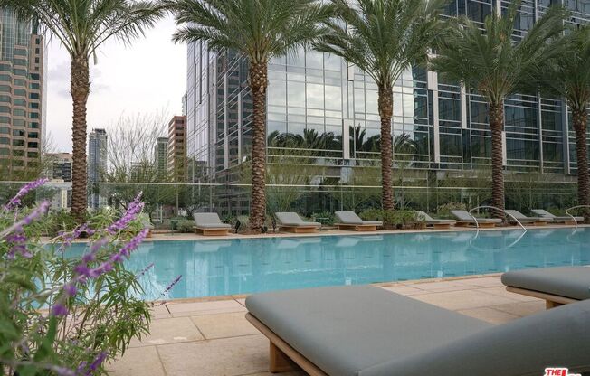 Studio, 1 bath, 544 sqft, $2,100, Unit 719