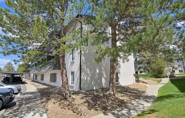 A white building with a tree in front of it.