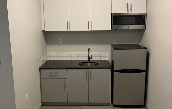 Studio, 1 bath, 181 sqft, $950, Unit 102