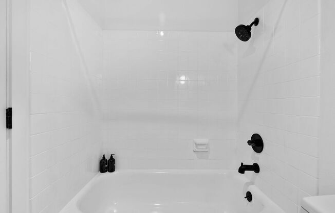 Studio, 1 bath, $1,995, Unit 03