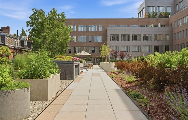1 bed, 1 bath, 917 sqft, $4,500, Unit 414